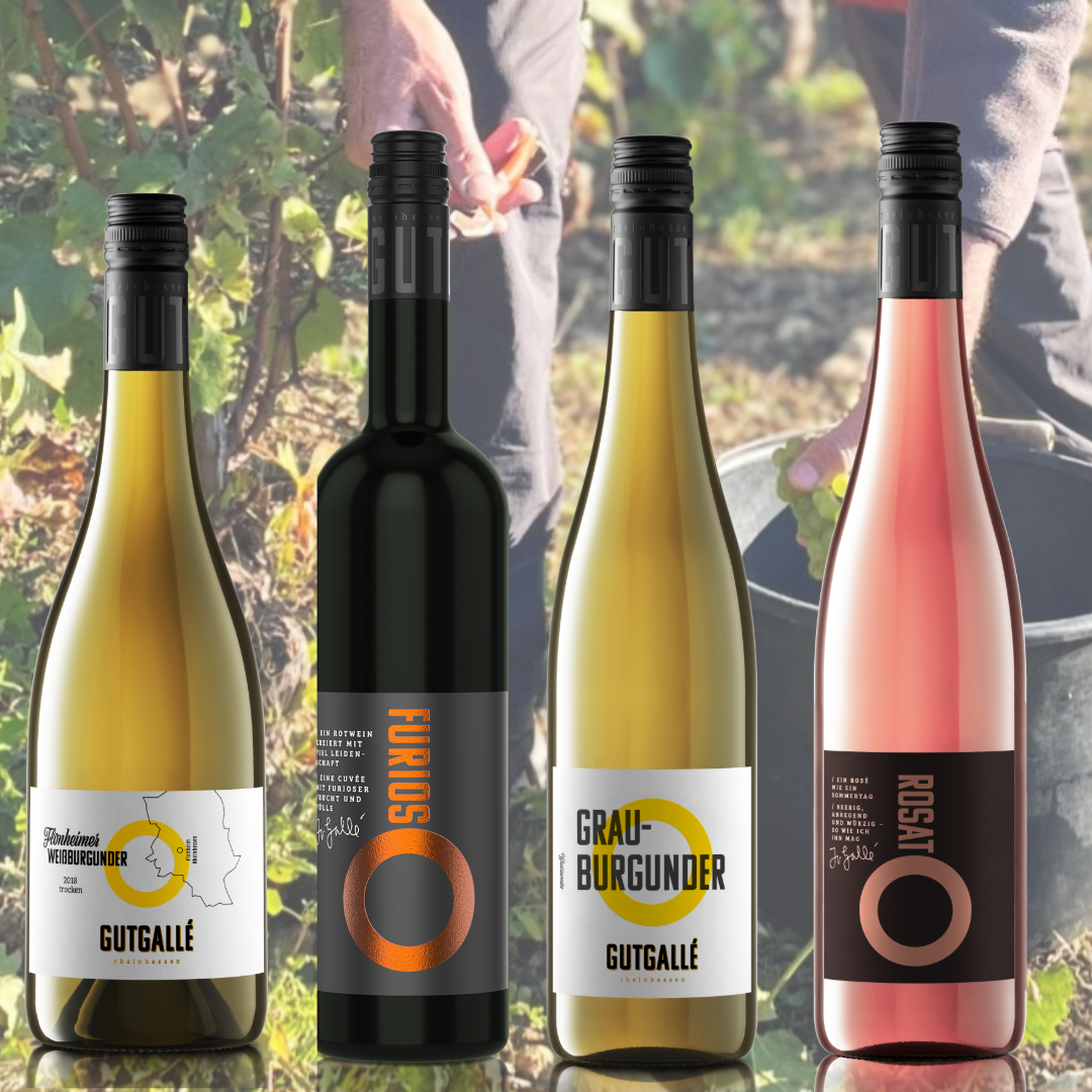 Farbenspiel im Herbst